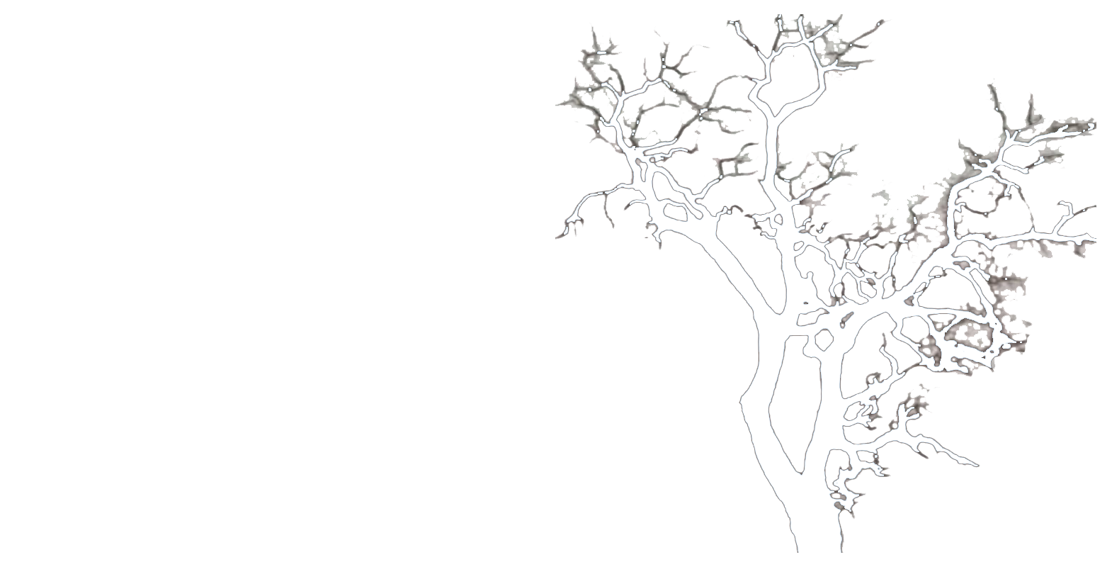 Central Oregon Tree Service Artisan Tree Works Redmond Or